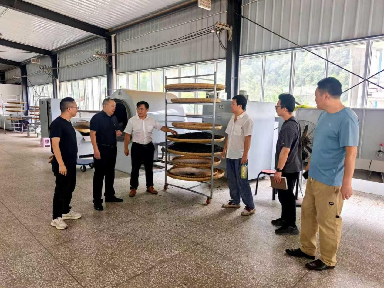 以艺术服务地方需求  以设计赋能乡村振兴